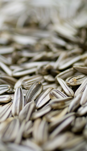 Gülersan Kuruyemiş