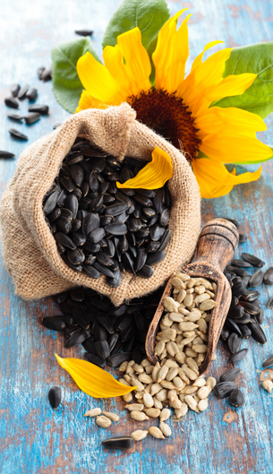 Gülersan Kuruyemiş