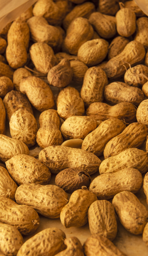 Gülersan Kuruyemiş