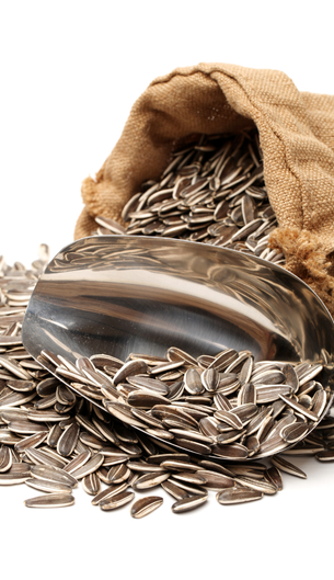 Gülersan Kuruyemiş